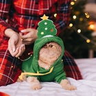 Костюм для животных новогодний «Ёлка», размер L, зелёный - Фото 18