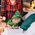 Костюм для животных новогодний «Ёлка», размер 2XL, зелёный - Фото 16