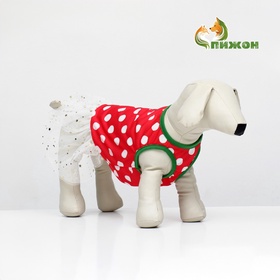 Костюм для животных «Фея», размер L (ДС 35, ОГ 50, ОШ 31 см), красно-белый