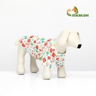 Толстовка для животных «Веселая карусель», размер XS - Фото 1