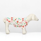 Толстовка для животных «Веселая карусель», размер XS - Фото 2