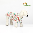 Толстовка для животных «Веселая карусель», размер XL - Фото 2