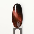 Гель лак для ногтей, «CAT`S EYE», 3-х фазный, 8мл, LED/UV, цвет хамелеон/бронзовый (06) - Фото 10