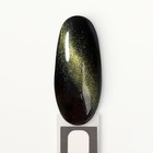 Гель лак для ногтей, «CAT`S EYE», 3-х фазный, 8мл, LED/UV, цвет хамелеон/зеленый (09) - Фото 14