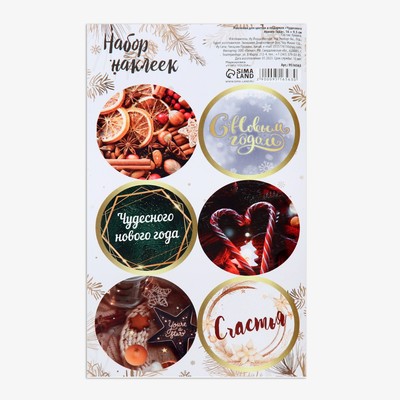 Наклейки для цветов и подарков «Чудесного Нового Года», 16×9.5 см