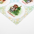 Наклейки новогодние для цветов и подарков «Везения!», 16 х 9.5 см - Фото 3