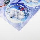Наклейки новогодние для цветов и подарков «Медвежата», 16×9.5 см - Фото 3