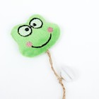 Игрушка для кошек «Лягушонок», с кошачьей мятой и перьями, 10 см, с бубенчиком, зелёная - Фото 2