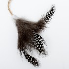 Игрушка для кошек с кошачьей мятой и перьями «Бурундук», 10 см, с бубенчиком - Фото 3