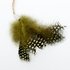 Игрушка для кошек «Медведь», с кошачьей мятой и перьями, 10 см, с бубенчиком - Фото 3