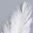Декор из перьев «Фонтан» на ножке, высота — 58 см - фото 7831327