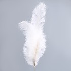 Декор из перьев «Фонтан» на ножке, высота — 70 см - фото 3121308