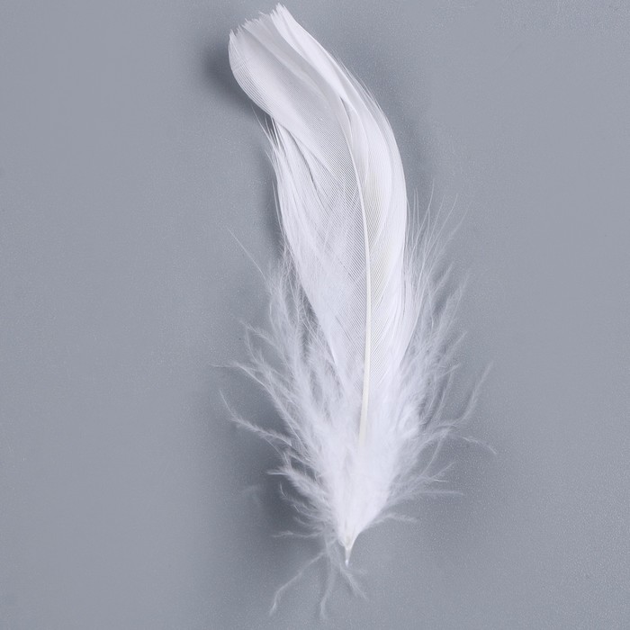 Набор для творчества и декора перья белые + наполнитель, цвет фиолетовый