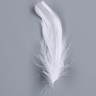 Набор для творчества и декора «Перья белые + наполнитель», цвет серебро - фото 7831369