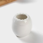 Набор керамический для специй на деревянной подставке BellaTenero, 5 предметов: солонка 70 мл, перечница 70 мл, салфетница, ёмкость для зубочисток, подставка, цвет белый - Фото 8