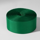 Лента капроновая, 50 мм, 100 ± 5 м, цвет зелёный - фото 9611866