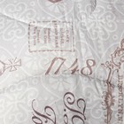 Одеяло зимнее, 140×205 см, ватин 400 г/м², пэ100%, МИКС - Фото 2