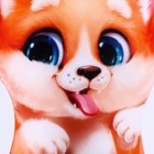 Антистресс игрушка «Корги малыш» - фото 23120289