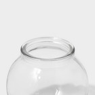 Набор баночек стеклянных для специй с пробковой крышкой Доляна «Парфе», 120 мл, 7×7 см, 12 шт - фото 4400920