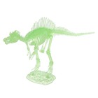 3D пазл «Спинозавр», кристаллический, 11 деталей - Фото 2