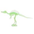3D пазл «Спинозавр», кристаллический, 11 деталей - фото 7833505