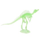 3D пазл «Спинозавр», кристаллический, 11 деталей - фото 4111975