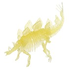 3D пазл «Стегозавр», кристаллический, 8 деталей - фото 7833518