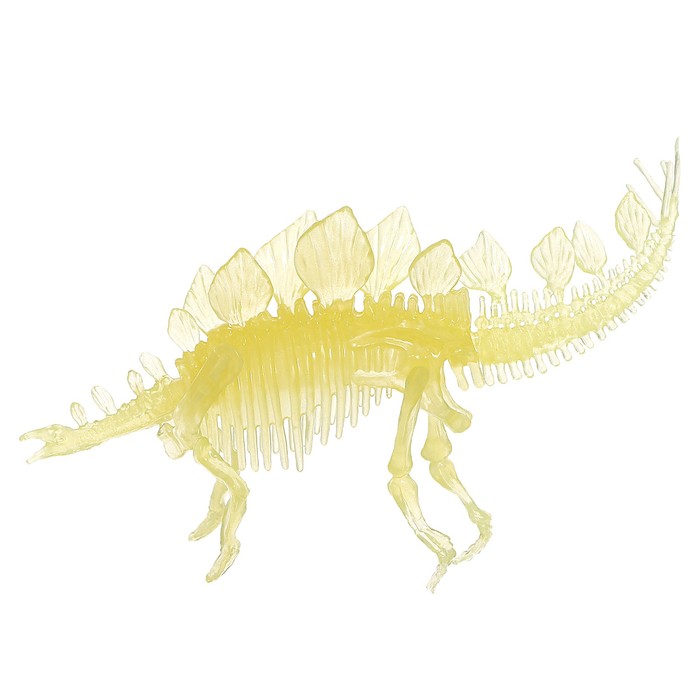 3D пазл «Стегозавр», кристаллический, 8 деталей - фото 1887303429