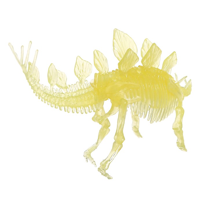 3D пазл «Стегозавр», кристаллический, 8 деталей - фото 1887303430