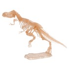 3D пазл «Тираннозавр», кристаллический, 12 деталей - фото 4111995