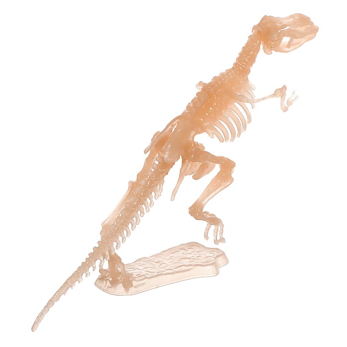 3D пазл «Тираннозавр», кристаллический, 12 деталей - фото 1907896927