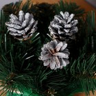 Новогодняя композиция "Рождественская" шишки серебро 20 см - Фото 2