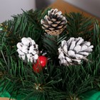 Новогодняя композиция "Рождевственская" шишки снег+ягоды 20 см - Фото 2