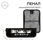 Пенал школьный, 1 секция, 5.5×20.5×2.5 см «Аниме» - Фото 1