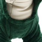 Комбинезон "Дракоша" с капюшоном, размер XS (ДС 20 см, ОГ 30 см, ОШ 20 см), зелёный - фото 7833956
