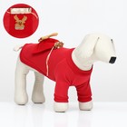 Кофта новогодняя для животных "Подарок", размер S (ДС 20, ОГ 32 см), красный - фото 320474777