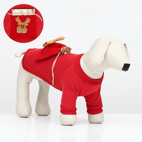 Кофта новогодняя для животных 'Подарок', размер S (ДС 20, ОГ 32 см), красный
