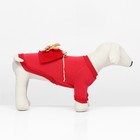 Кофта новогодняя для животных "Подарок", размер S (ДС 20, ОГ 32 см), красный - Фото 2