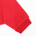 Кофта новогодняя для животных «Подарок», размер S (ДС 20, ОГ 32 см), красный - Фото 10