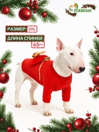 Кофта новогодняя для животных «Подарок», размер 2XL (ДС 45, ОГ 55 см), красный - Фото 1