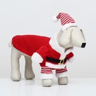 Новогодний костюм для собак "Клаус", размер S (ДС 25, ОГ 35 см) - фото 9291599