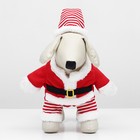Новогодний костюм для собак "Клаус", размер S (ДС 25, ОГ 35 см) - фото 9291602