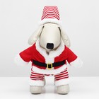 Новогодний костюм для собак «Клаус», размер 2XL (ДС 45, ОГ 55 см) - Фото 6