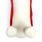 Новогодний костюм для собак «Клаус», размер 2XL (ДС 45, ОГ 55 см) - Фото 9