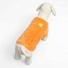 Свитер "Мандарин", велюр, размер  S (ДС 25, ОШ 24, ОГ 35 см), оранжевый - фото 23099658