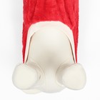 Свитер "Арбуз", велюр, размер  XL (ДС 36, ОШ 26, ОГ 48 см), красный - фото 23099733