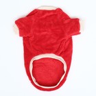 Свитер "Арбуз", велюр, размер  XL (ДС 36, ОШ 26, ОГ 48 см), красный - фото 23099734