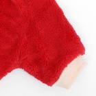 Свитер "Арбуз", велюр, размер  XL (ДС 36, ОШ 26, ОГ 48 см), красный - фото 23099736