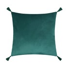 Наволочка декоративная с кисточками Этель цвет зелёный, 45х45 см, полиэстер, велюр - фото 11437461
