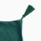Наволочка декоративная с кисточками Этель цвет зелёный, 45х45 см, полиэстер, велюр - Фото 2